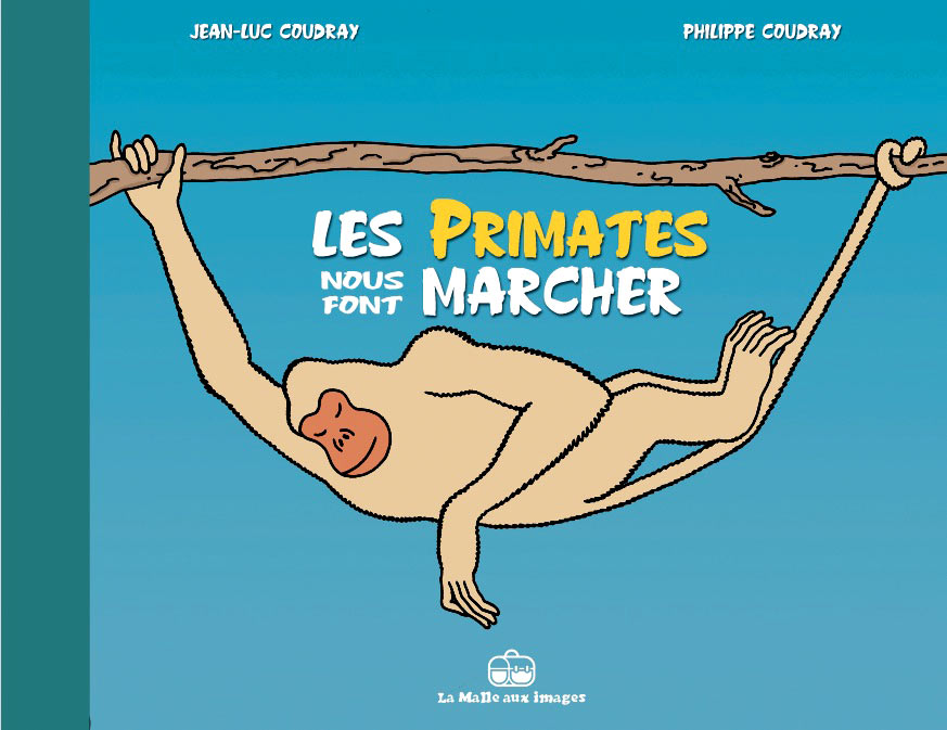 Les primates nous font marcher