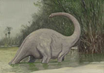 mokele